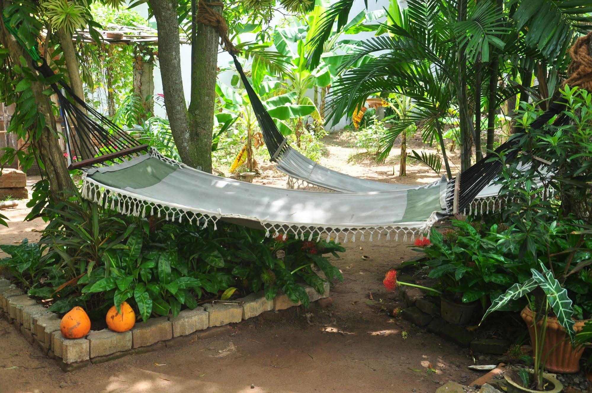 Blue Seas Guest House Dehiwala-Mount Lavinia Exterior photo